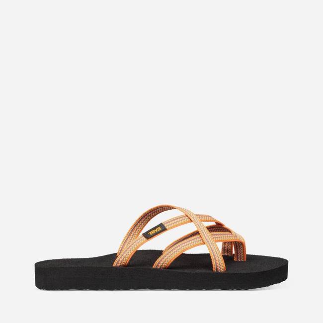 Teva sale olowahu 39